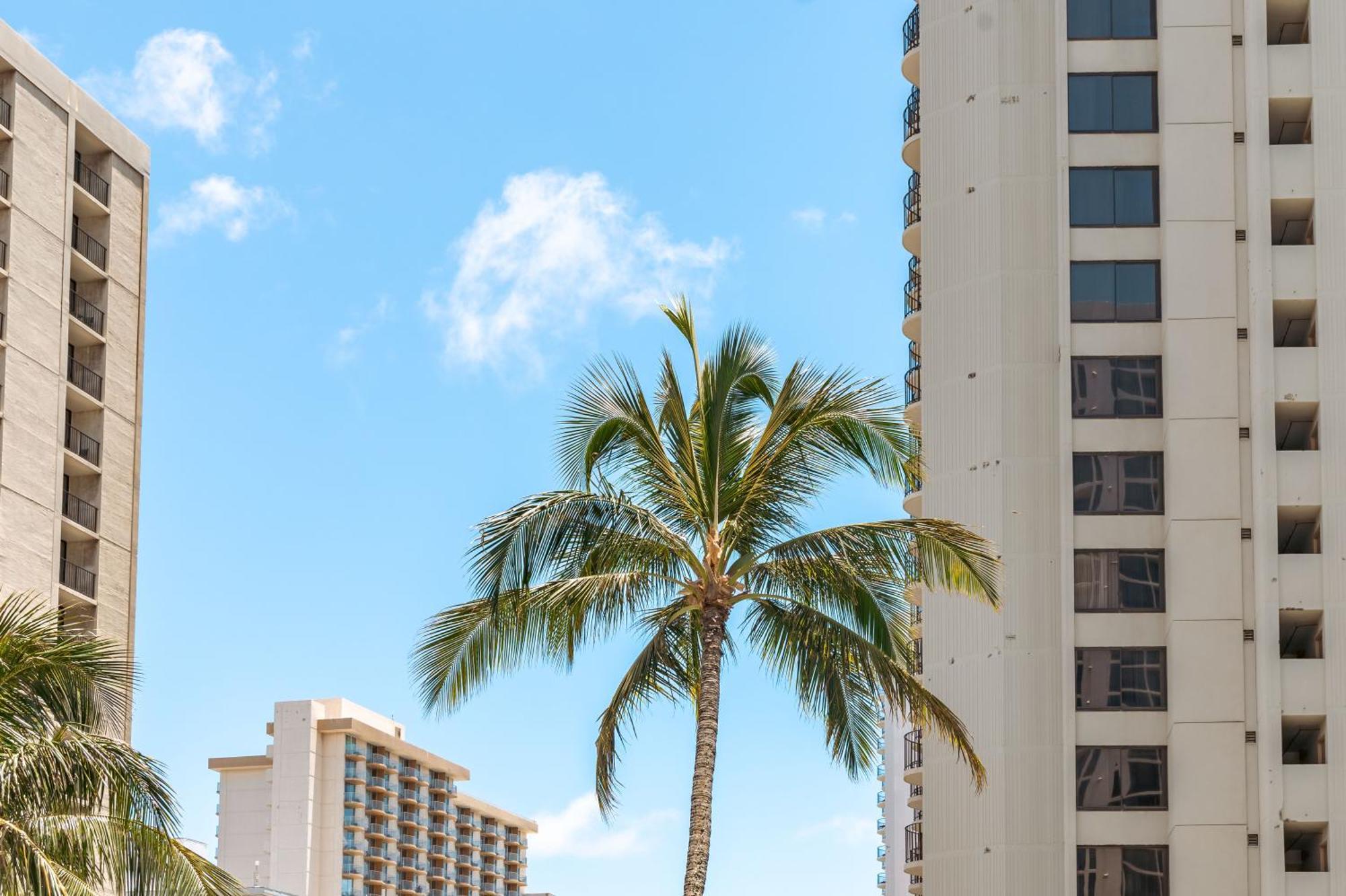 Beautiful Ocean And Diamond Head Views With Parking Lägenhet Honolulu Exteriör bild