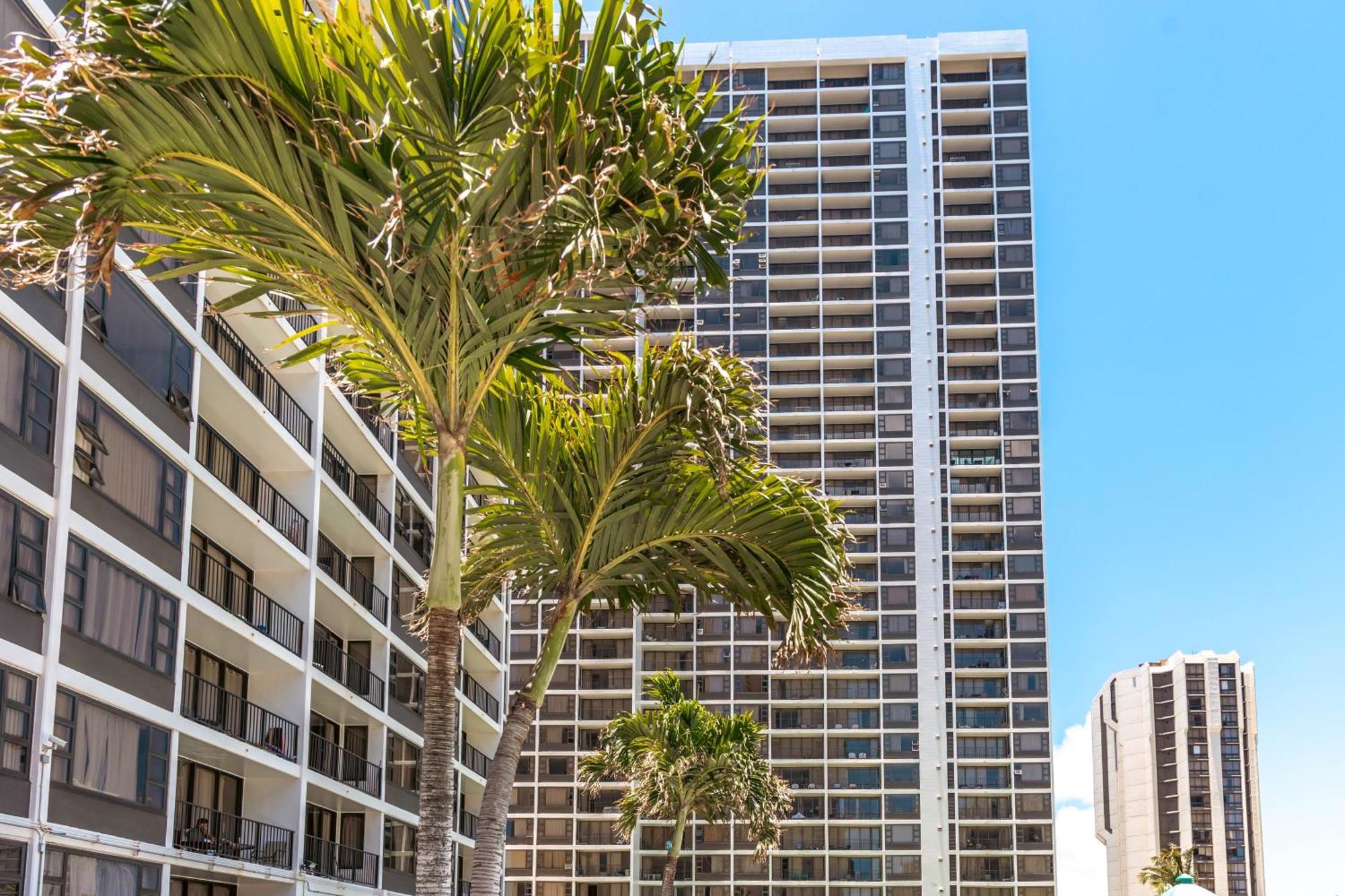 Beautiful Ocean And Diamond Head Views With Parking Lägenhet Honolulu Exteriör bild